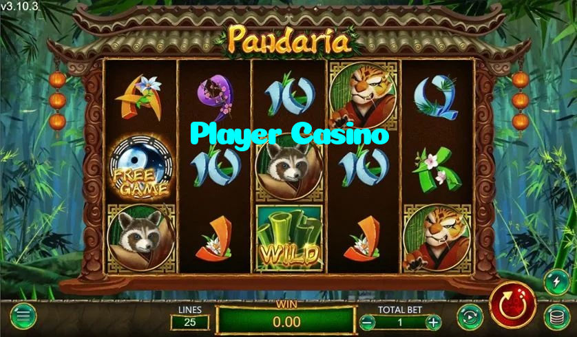 available types of Player Casino bet including pre-match live express and system bets